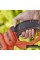 Кусторез электрический BLACK+DECKER BEHTS551